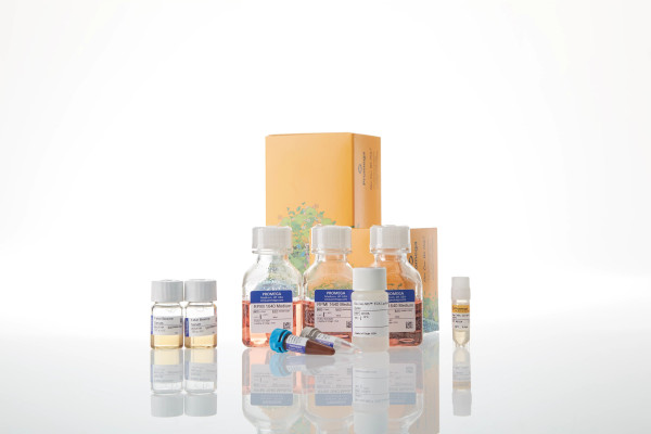 Raji (HT-HiBiT) CD19-KO TCK Bioassay