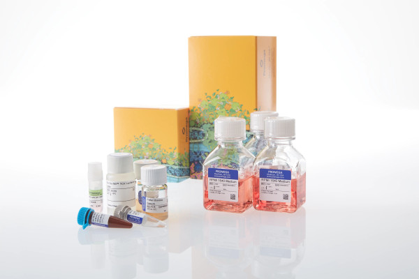 H929 (HiBiT) TCK Bioassay