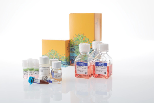 H929 (HiBiT) TCK Bioassay 5X