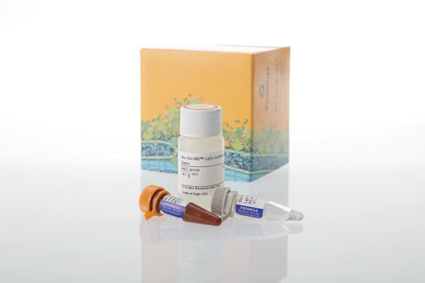 Bio-Glo-NB Lytic Luciferase Assay System
