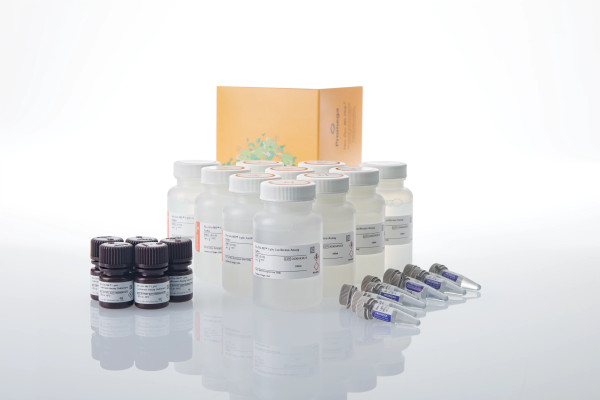 Bio-Glo-NB Lytic Luciferase Assay System