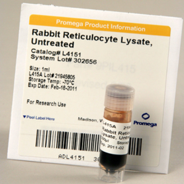Rabbit Reticulocyte Lysate, Untreated