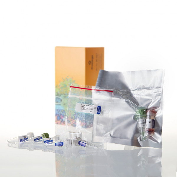 TNT T7 Coupled Reticulocyte Lysate System, Trial Size