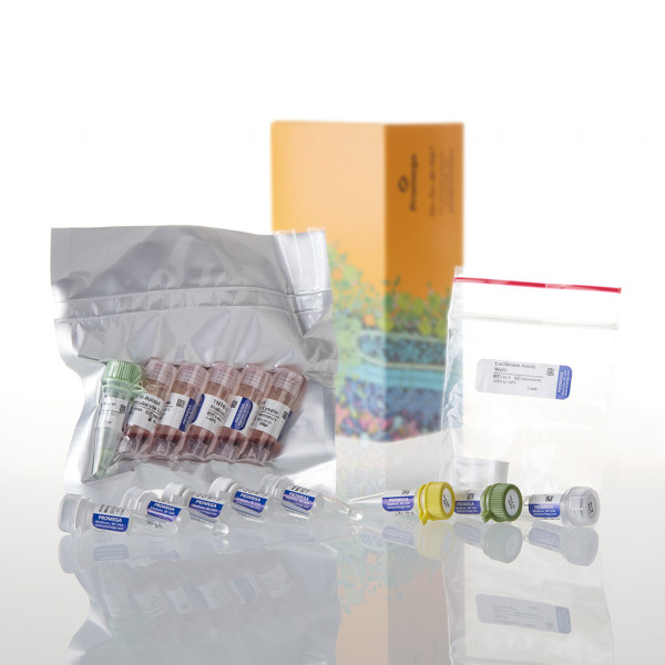 TNT T7/SP6 Coupled Reticulocyte Lysate System