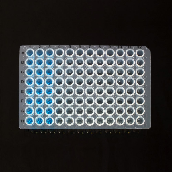 96 Well unskirted PCR Plate, Natural