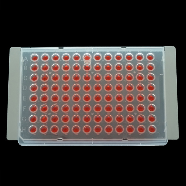 eXTReme Seal Films Large for PCR/Storage
