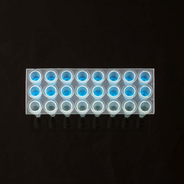 24 well PCR plate, Natural