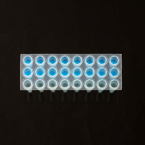 24 Well PCR Plate, Natural