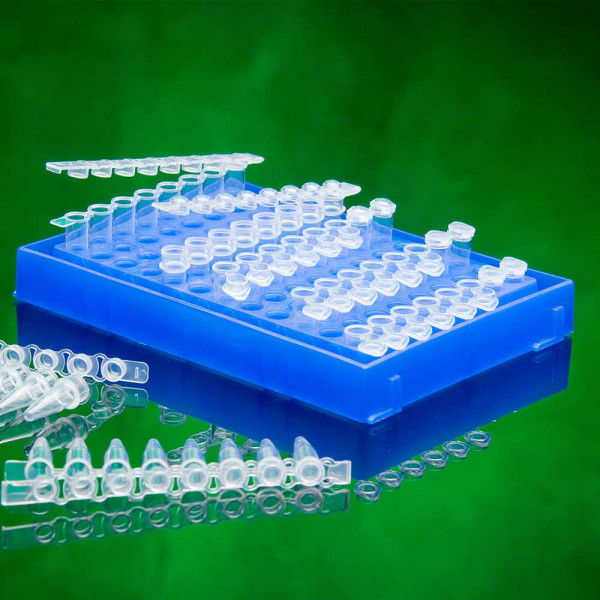 0.2ml PCR Tube Rack with Lid Blue