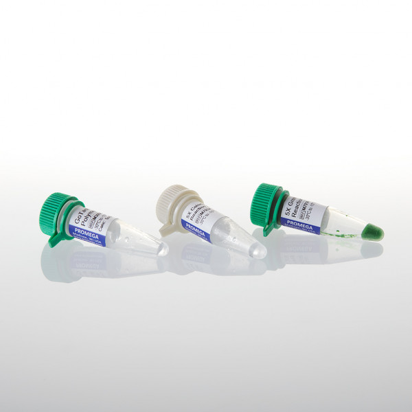 GoTaq DNA Polymerase