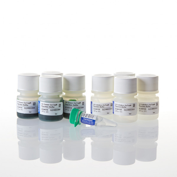 GoTaq DNA Polymerase