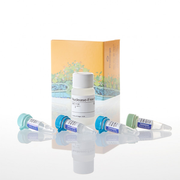 GoTaq Long PCR Master Mix