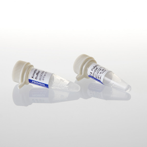 T4 Polynucleotide Kinase