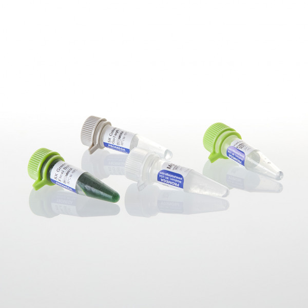 GoTaq Hot Start Polymerase