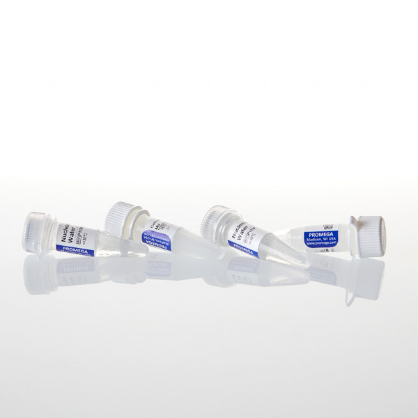 GoTaq Colorless Master Mix