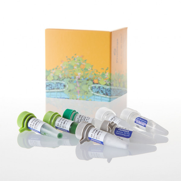 GoTaq PCR Core System I