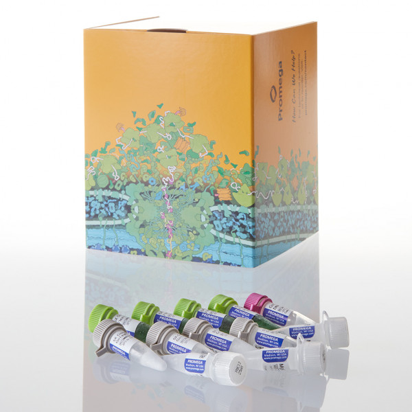 GoTaq G2 Flexi DNA Polymerase