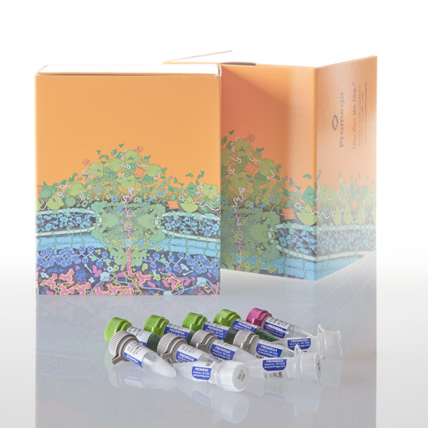 GoTaq G2 Flexi DNA Polymerase