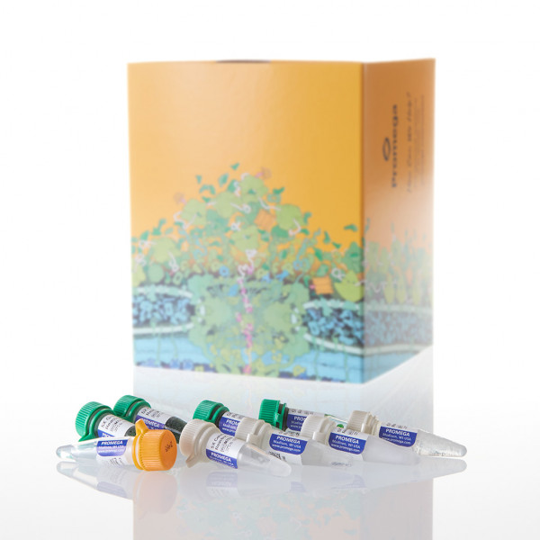 GoTaq G2 DNA Polymerase