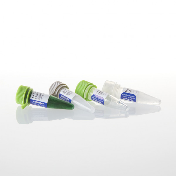 GoTaq Flexi DNA Polymerase