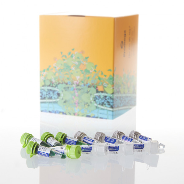 GoTaq Flexi DNA Polymerase