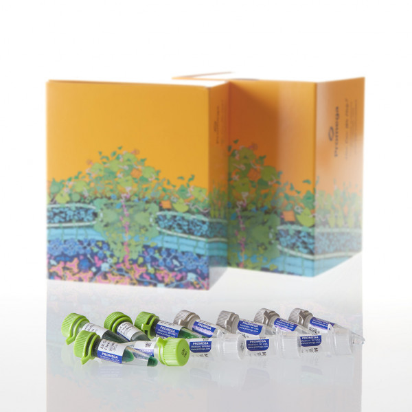 GoTaq Flexi DNA Polymerase