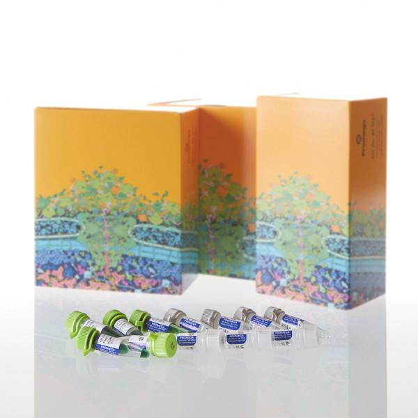 GoTaq Flexi DNA Polymerase