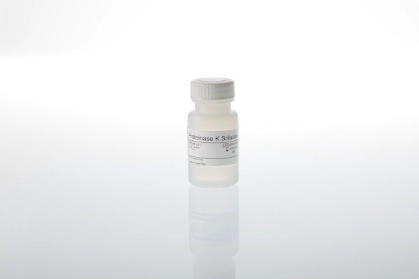 Proteinase K Solution