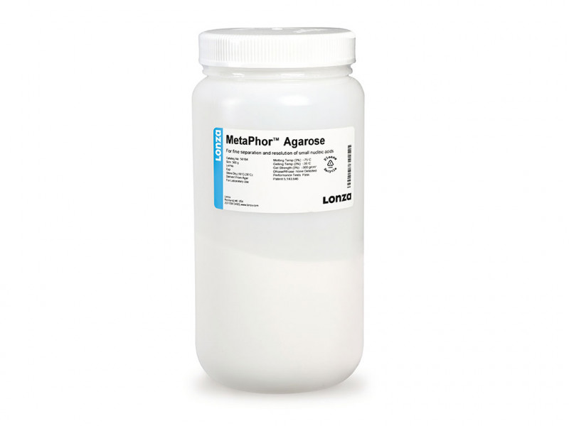 MetaPhor AGAROSE 1KG