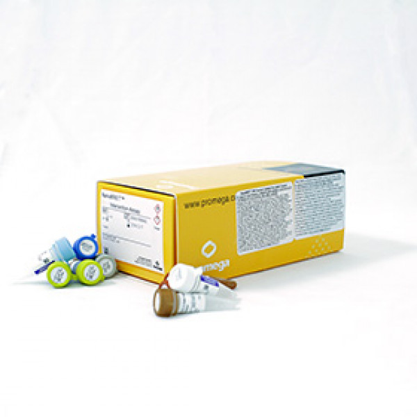 NanoBRET BRPF1/Histone H3.3 Interaction Assay