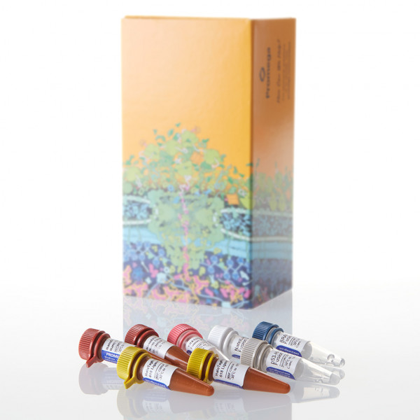 NanoBRET KRas/BRaf Interaction Assay