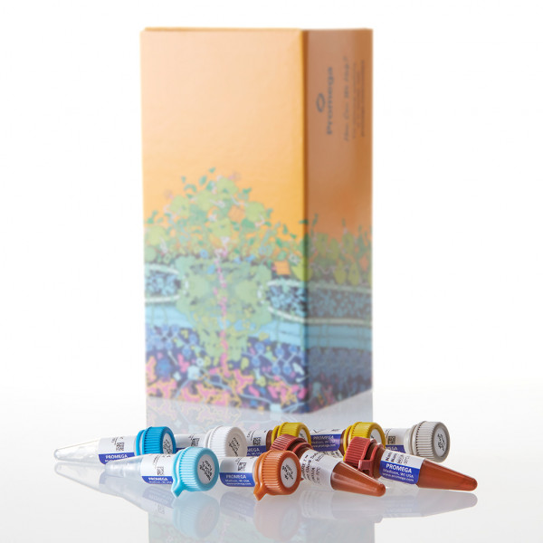 NanoBRET BRD4/Histone H4 Interaction Assay