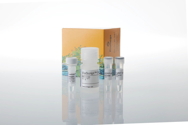 ViaScript LgBiT mRNA Delivery System Plus eGFP