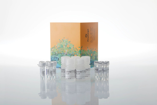 ViaScript  LgBiT mRNA Delivery System