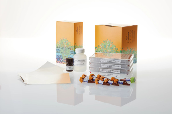 NanoBRET TE K192 Kinase Selectivity System