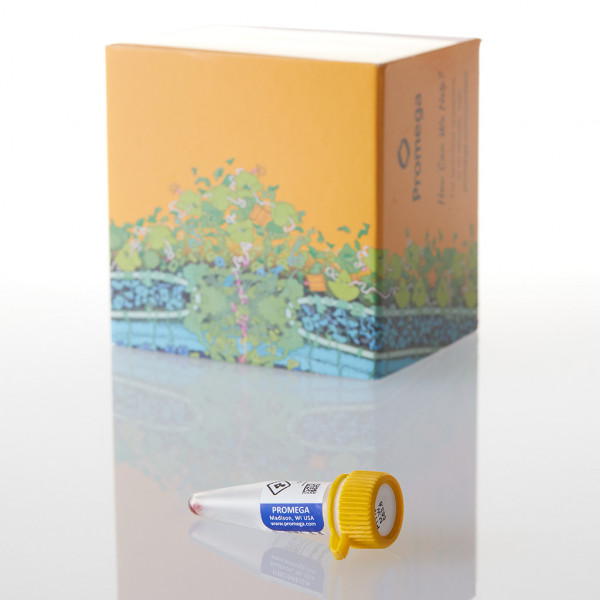 EnduRen In Vivo Renilla Luciferase Substrate