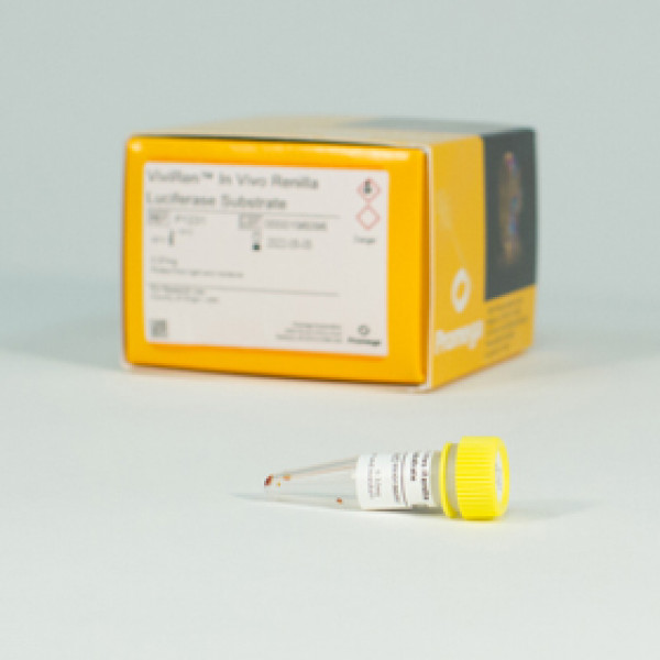ViviRen In Vivo Renilla Luciferase Substrate