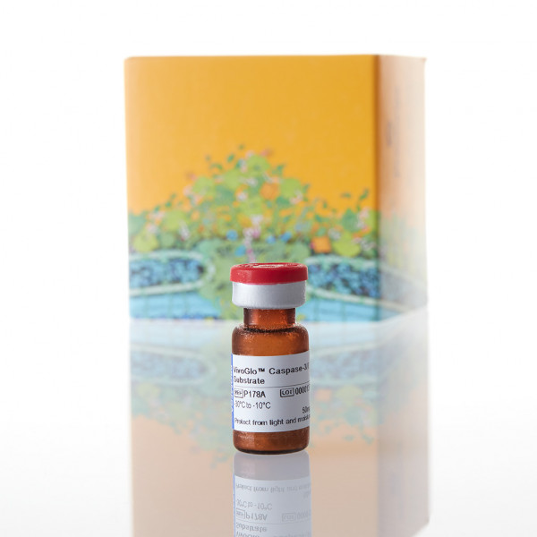 VivoGlo Caspase-3/7 Substrate (Z-DEVD-Aminoluciferin, Sodium Salt)