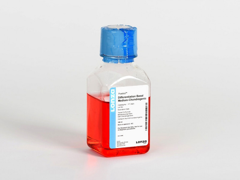DIFFERENTIATION BASAL MED - CHONDROGENI