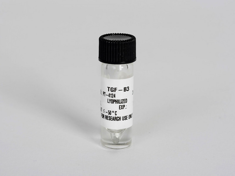 TGF Beta 3 for HMSC Chondro diff