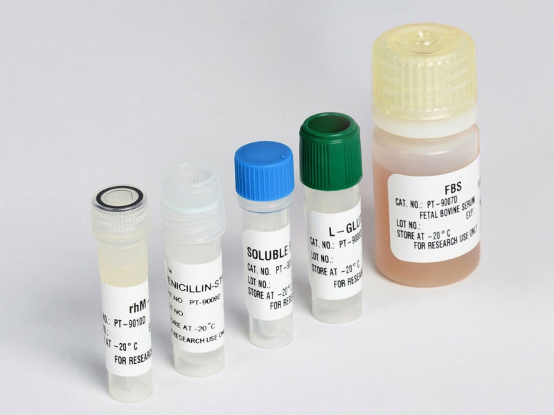 OCP Osteoclast Precur. SingleQuot Kit