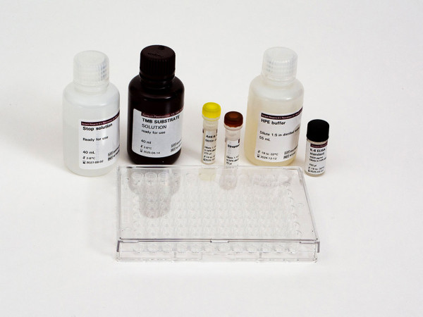 hIL-6 ELISA RAPID BULLETKIT(M2018+M2019)