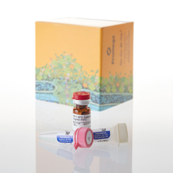 PIP2:3PS Lipid Kinase Substrate, 0.25mg