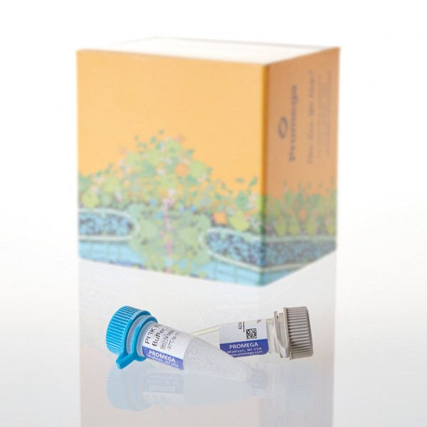 PI3K (p110alpha/p85alpha), 20ug