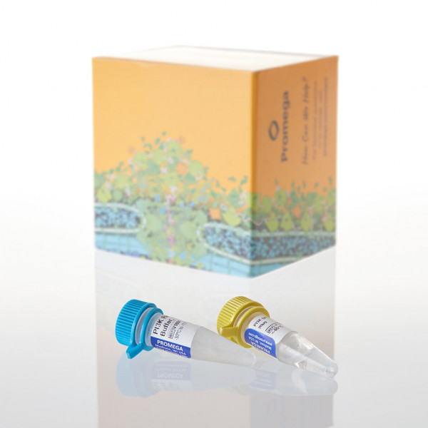 PI3K (p110alpha[H1047R]/p85alpha), 20ug