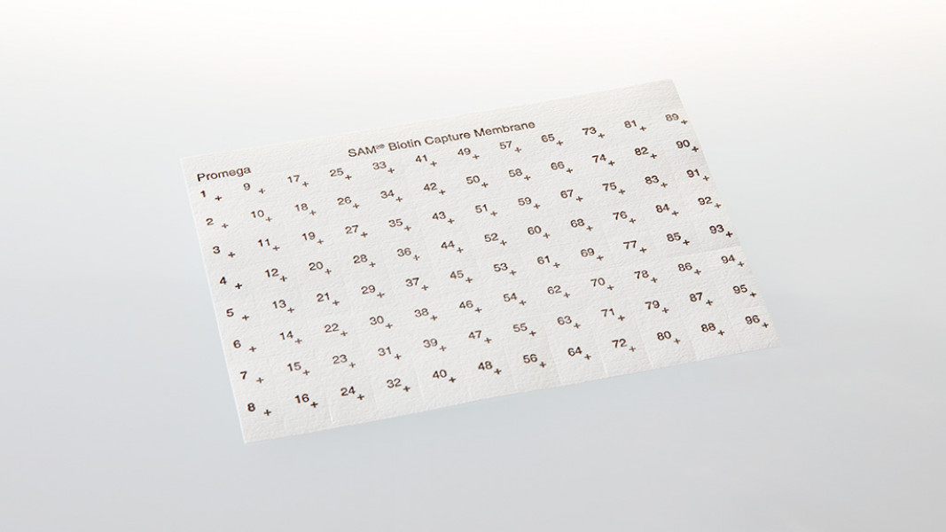 SAM2 Biotin Capture Membrane