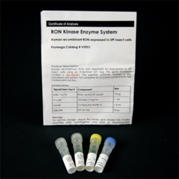 RON Kinase Enzyme System