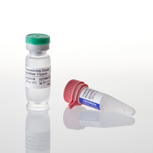 Sequencing Grade Modified Trypsin