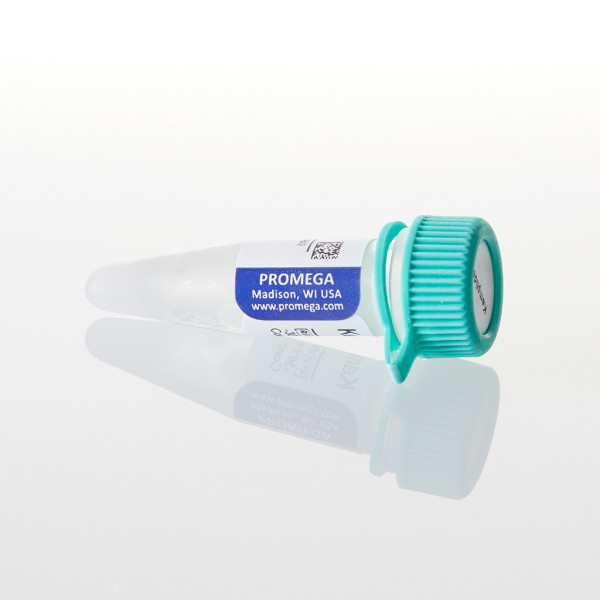 Kemptide (PKA) Peptide Substrate