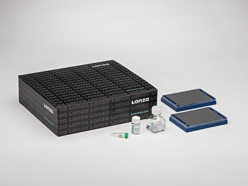 P4 Primary Cell 384-well Kit (2 PT)